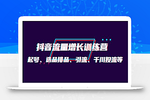 一群宝宝·抖音流量增长训练营:起号、选品排品、引流、千川投流等