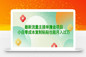 公众号最新流量主接单撸金项目，小白零成本复制粘贴也能月入过万