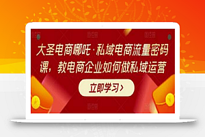 大圣电商哪吒·私域电商流量密码课,教电商企业如何做私域运营