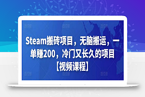Steam搬砖项目,无脑搬运,一单赚200,冷门又长久的项目【视频课程】