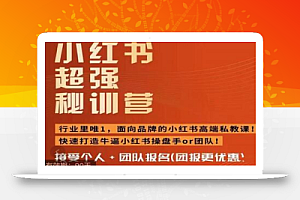 小红书超强密训营,爆文制造技巧,低预算高roi投放技巧,内容营销思维