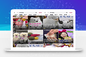 羊毛毡项目玩法思路,市场很大!小白也能上手的!供小于求!