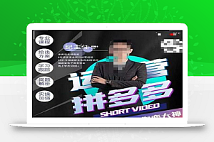 纪主任·拼多多运营课,超级学员线上班,21天蜕变,小白也能成大神