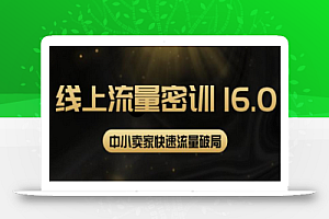 2022秋秋线上流量密训16.0：包含暴力引流10W+中小卖家流量破局技巧等等