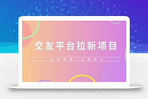 交友平台接码无限拉新项目,单日收益200+以上