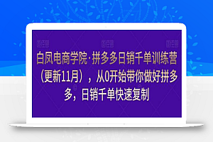 白凤电商学院·拼多多日销千单训练营(更新11月),从0开始带你做好拼多多,日销千单快速复制