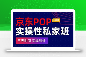 京东POP实操性私家班——大促篇，​三天时间，实战剖析-​原价4980