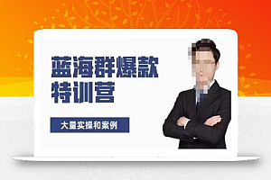 无招店群·蓝海群爆款特训营(10月新课)低成本起店+小爆款打造+群爆款维护