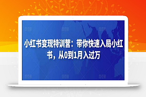 小红书变现特训营:带你快速入局小红书,从0到1月入过万