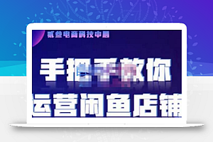 贰叄电商·闲鱼零基础运营课程实战教学(2022版),解无货源模式的逻辑,深层次的了解闲鱼平台