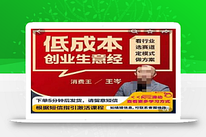 王岑·低成本创业生意经,从8个点深度剖析低成本成功案例,让广大创业者不再迷茫