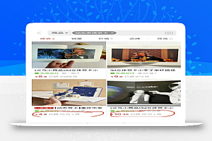 新奇蓝海项目,1单10元,趁早布局