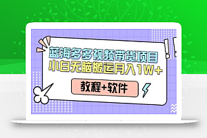 多多视频带货项目,搬运日入过万,0成本,轻松实现躺赚(教程+软件)