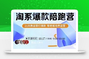 108将淘系爆款陪跑营【第九期】,从淘宝0开始,手把手教你链接起飞,爆款不断