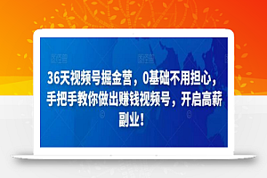 36天视频号掘金营,0基础不用担心,手把手教你做出赚钱视频号,开启高薪副业!