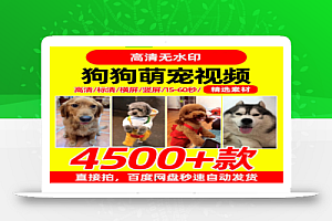 狗狗萌宠视频4500款