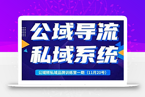 Peter·公域转私域品牌训练营,全套起号打法+沉淀私域系统,企业引流个人微信
