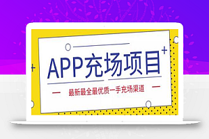 外面收费9800的APP充场项目,实操一天收入800+个人和工作室都可以做