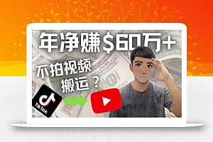 Youtube赚钱:搬运国内视频Youtube赚钱$60万+(实操教程)