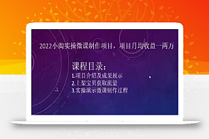2022小淘实操微课制作项目,项目月均收益一两万