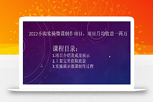 2022小淘实操微课制作项目，项目月均收益一两万