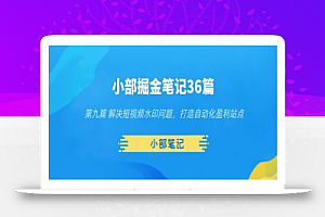 小部掘金笔记36篇第九篇解决短视频水印问题,打造自动化盈利站点