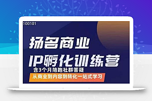 王扬名·商业IP孵化训练营,从商业到内容到转化一站式学习