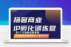 王扬名·商业IP孵化训练营，从商业到内容到转化一站式学习