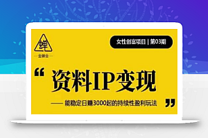 资料IP变现,能稳定日赚3000起的持续性盈利玩法