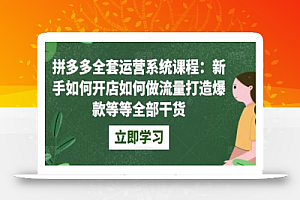 拼多多全套运营系统课程:新手如何开店如何做流量打造爆款等等全部干货