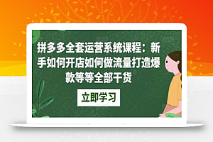 拼多多全套运营系统课程：新手如何开店如何做流量打造爆款等等全部干货