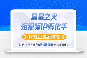 瑶瑶·自然流短视频IP孵化第二期,14天线上实战训练营,赋能100个人成为有数据能赚钱的独立IP孵化手