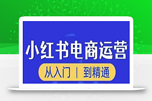 顽石小红书电商高阶运营课程,从入门到精通,玩法流程持续更新