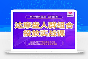 阿呆电商·达摩盘人群组合投放实战课，你以为推广不赚钱是技术问题，其实是你没有选好高价值消费客群