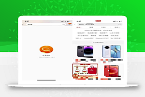 超级冷门项目,教人安装tiktok,日入4位数