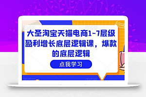 大圣淘宝天猫电商1-7层级盈利增长底层逻辑课,爆款的底层逻辑