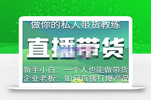 硬核传媒·直播带货（私人教练），实操实战教学，通俗易懂，学完后新手小白一个人也能做带货