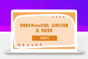 跨境拼多多temu实战营,从0到1打造爆款,快速变现