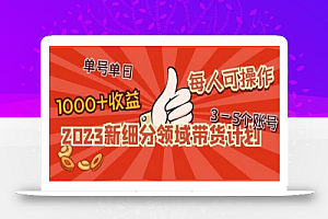 2023新细分领域带货计划:单号单日1000+收益不难,每人可操作3-5个账号