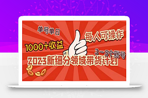 2023新细分领域带货计划：单号单日1000+收益不难，每人可操作3-5个账号