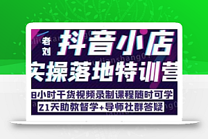 抖音小店实操落地特训营:抖音小店无货源精细化运营,抖店商品卡流量(22节)