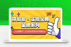 拼多多·实操宝典:金牌系列“小白到高手”带你全方位玩转拼多多各种玩法