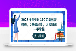 2023拼多多0-100实战运营教程,0基础起步,运营知识一手掌握