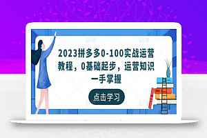 2023拼多多0-100实战运营教程，0基础起步，运营知识一手掌握