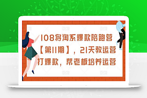 108将淘系爆款陪跑营【第11期】,21天教运营打爆款,帮老板培养运营