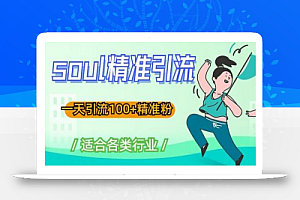 soul精准引流系列课程,一天引流100+精准粉,适合各类行业