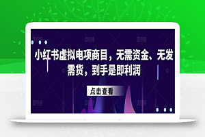 小红书虚拟电项商目,无需资金、无发需货,到手是即利润