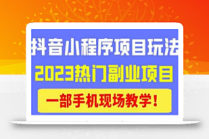 抖音小程序9.0新技巧,2023热门副业项目,动动手指轻松变现