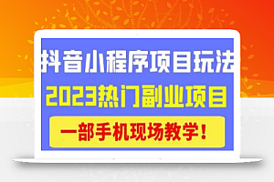 抖音小程序9.0新技巧，2023热门副业项目，动动手指轻松变现