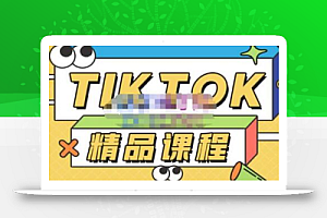 电商孵化中心·TikTok精品课程,教你玩转海外抖音,低成本创业,带您从0开始玩转TikTok